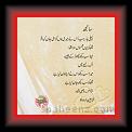 Wasi Shah-sanj 01 * 22.03.2008 * 404 x 408 * (25KB)